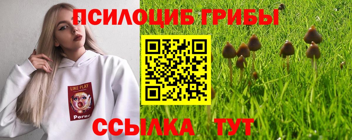 Псилоцибиновые грибы Magic Shrooms Дедовск